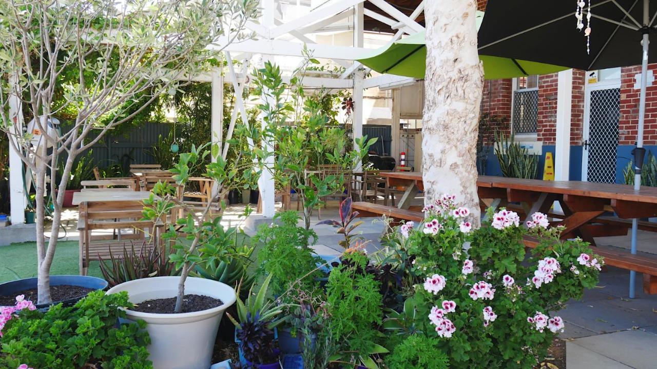 بيت شباب Geraldton Backpackers المظهر الخارجي الصورة